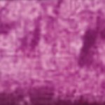 Crushed Velvet Fuschia